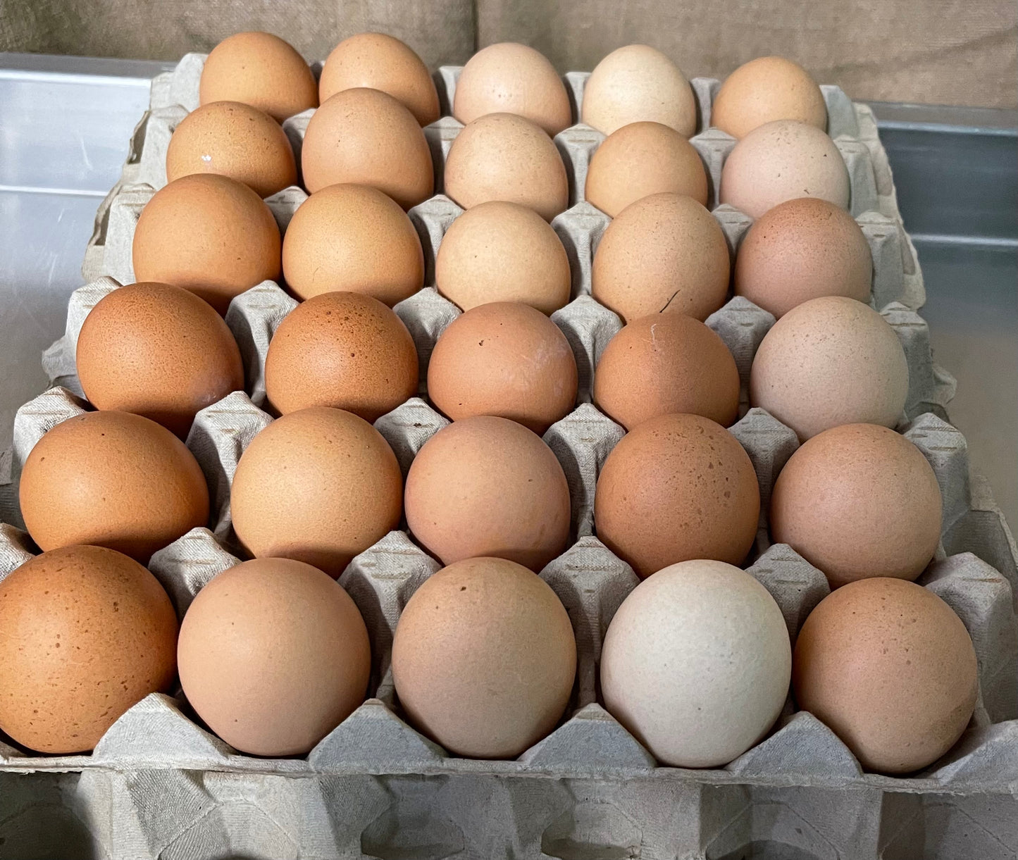 Free Range Chicken Eggs