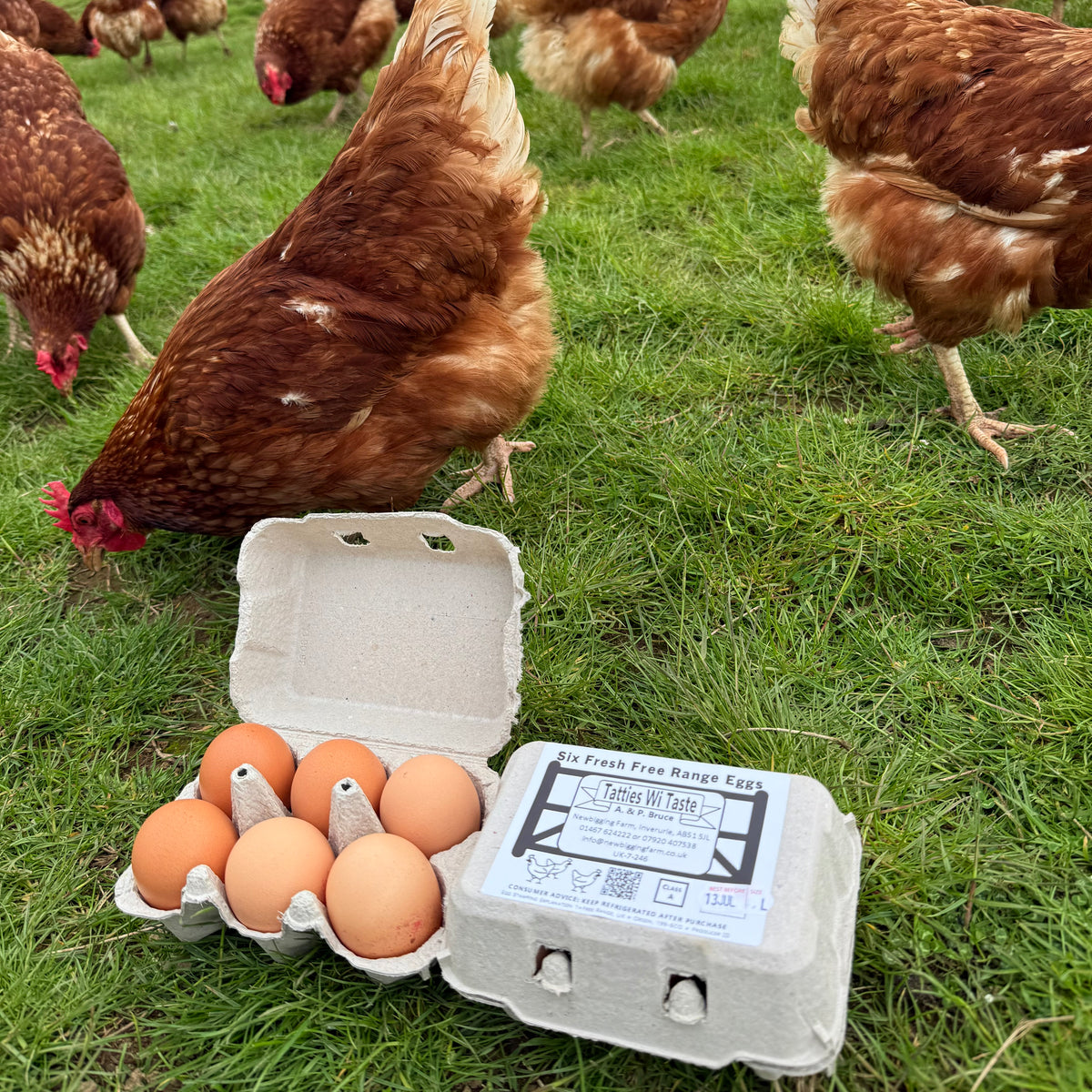 Free Range Chicken Eggs