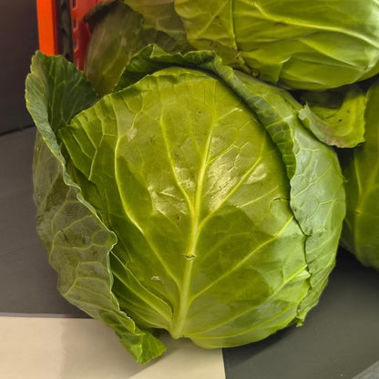 Cabbage