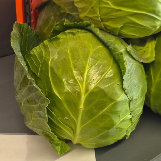 Cabbage