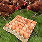 Free Range Chicken Eggs