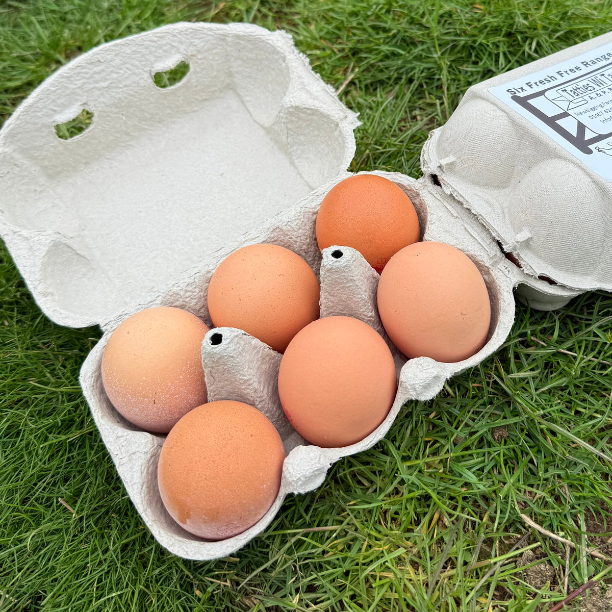 Free Range Chicken Eggs