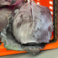 Cabbage